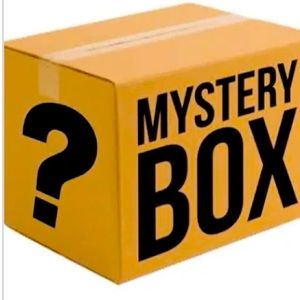 BEANIE BABY MYSTERY BOX